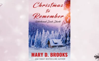 Upcoming Release: Christmas To Remember by Mary D. Brooks