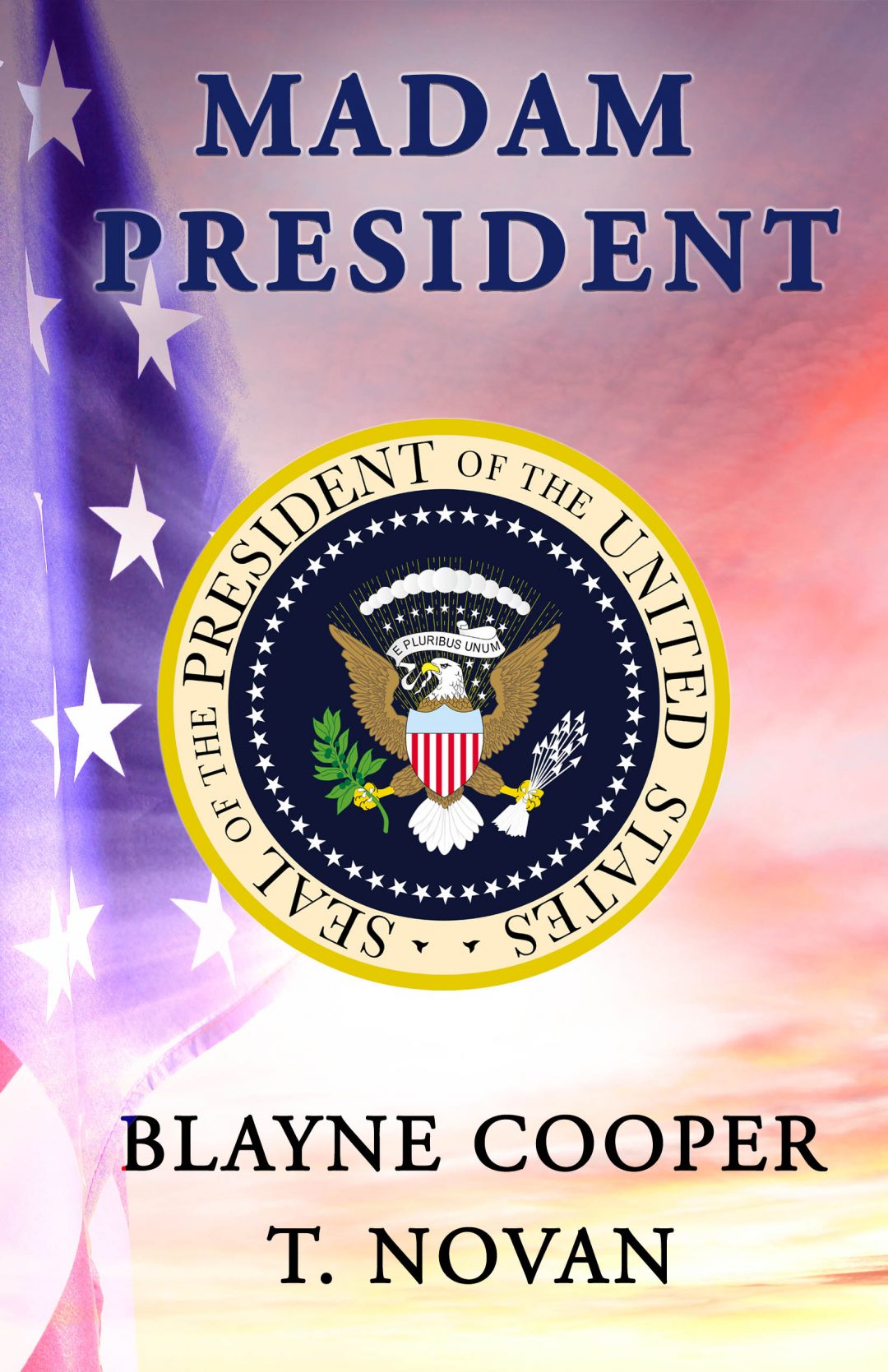 Madam President by Blayne Cooper