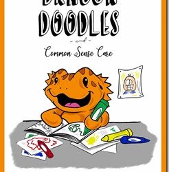 Upcoming Release: Dragon Doodles and Common Sense by Michele vanRoosendael